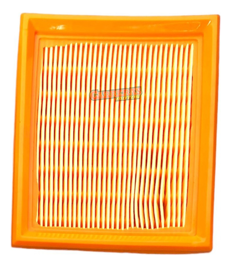 Elemento Filtro Aire Shark/skua 125
