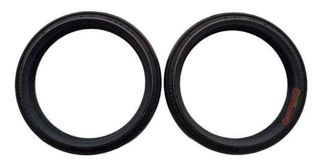 Reten Susp Ktm Duke 125/200/390/690/ Bmw Gs800 43-52.9-11.4 - Imagen 2
