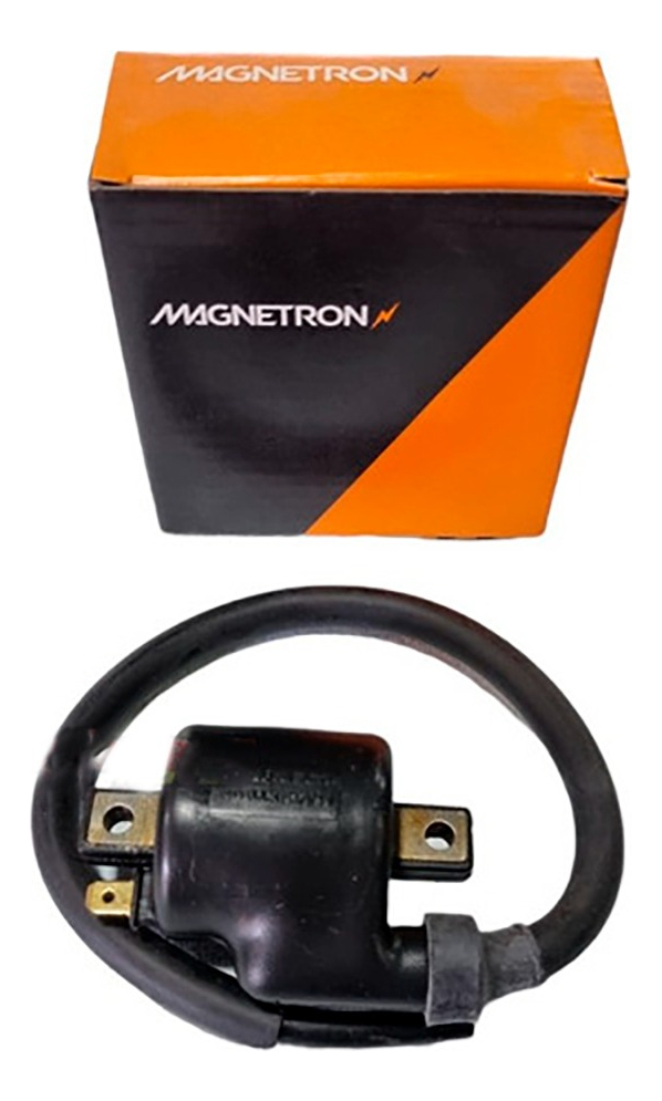 Bobina De Alta Cg Polleritas Magnetron